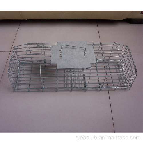 Live Coyote Cage Trap For Outdoors Collapsible Bird Cage Live Coyote Cage Trap Supplier